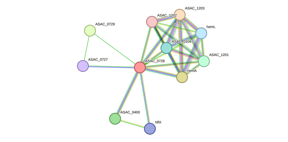 STRING protein interaction network