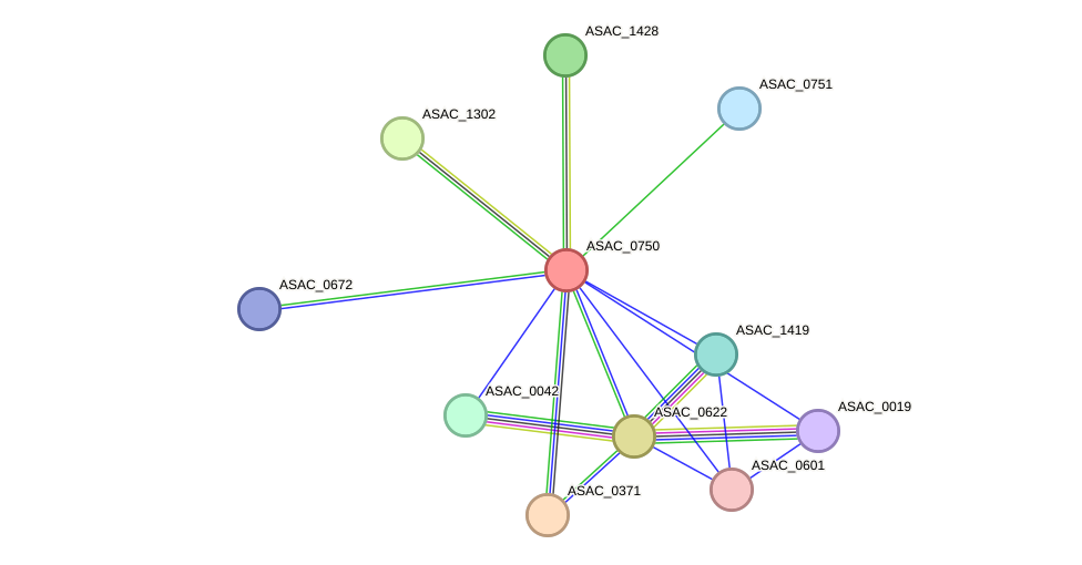 STRING protein interaction network
