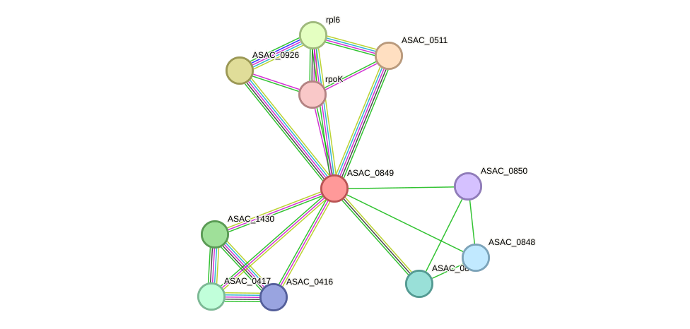 STRING protein interaction network