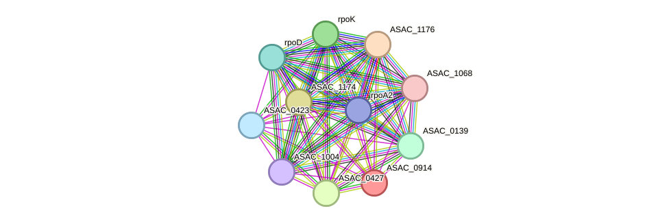STRING protein interaction network