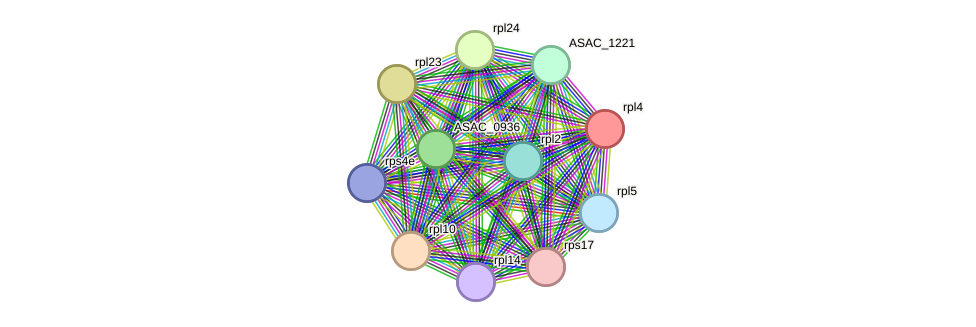 STRING protein interaction network