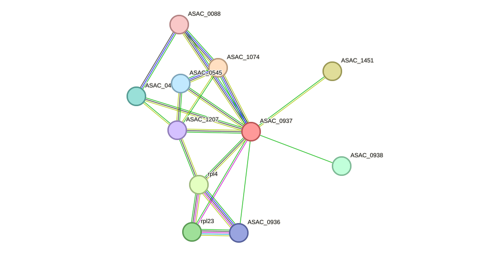 STRING protein interaction network