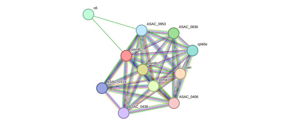 STRING protein interaction network