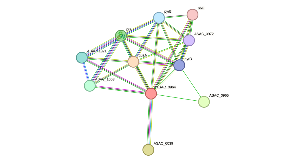 STRING protein interaction network