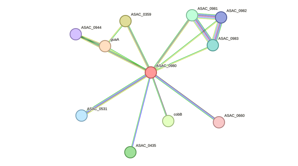 STRING protein interaction network