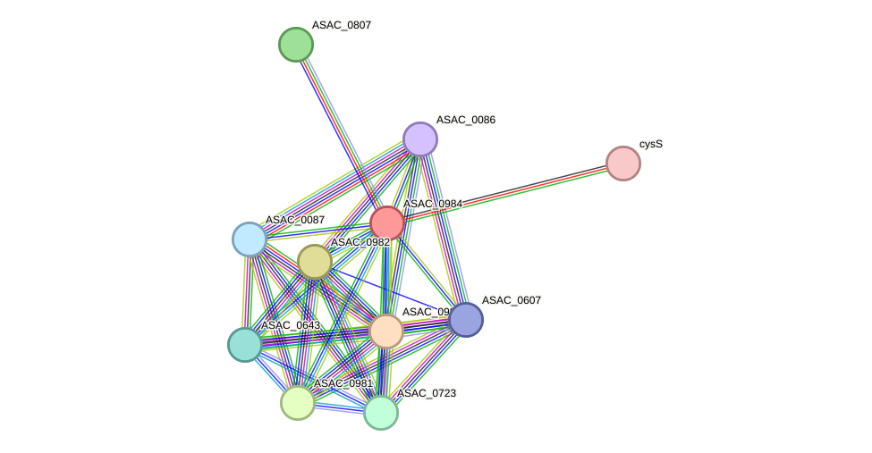 STRING protein interaction network