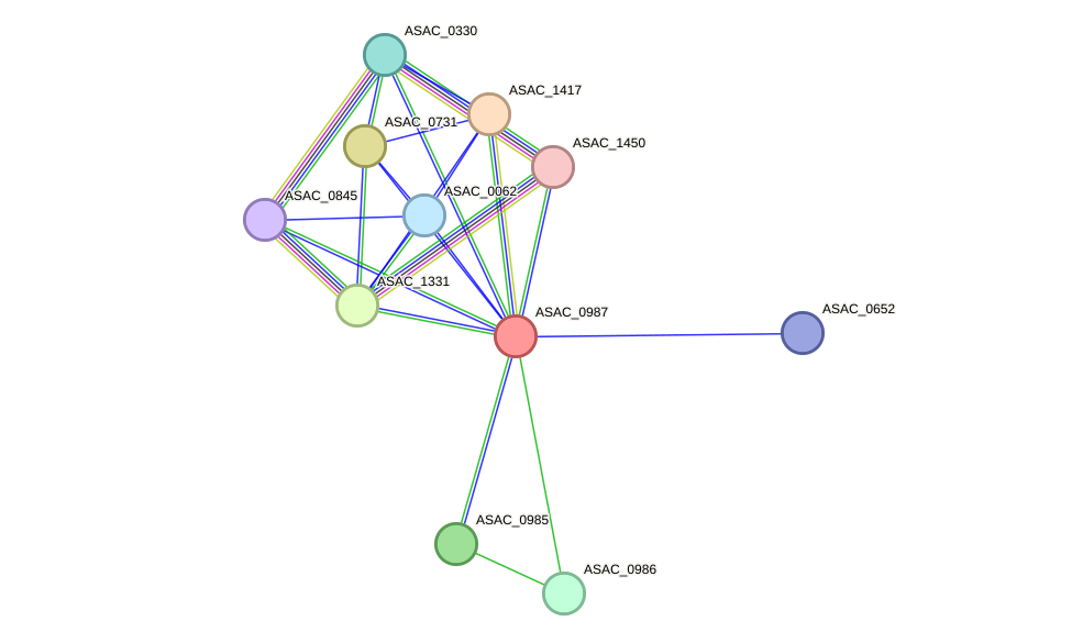 STRING protein interaction network