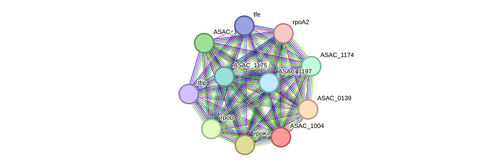 STRING protein interaction network