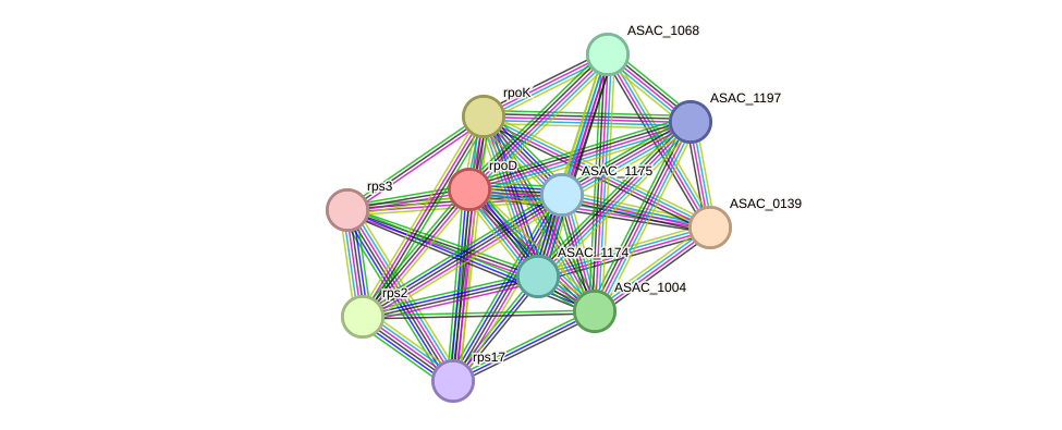 STRING protein interaction network