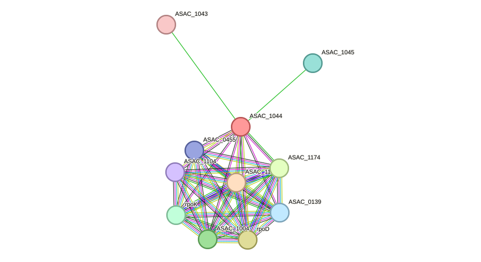 STRING protein interaction network