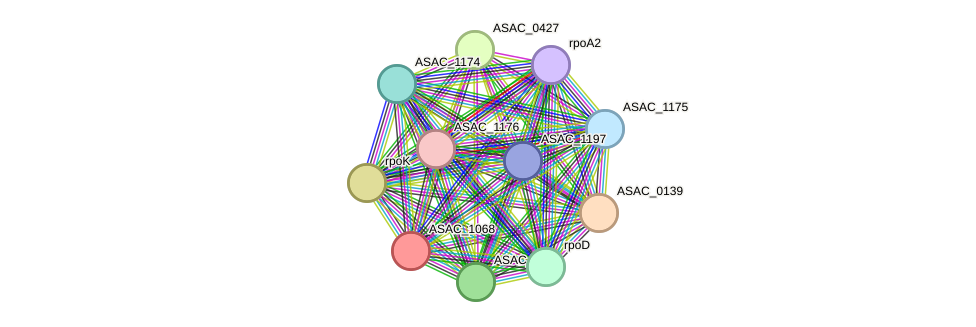 STRING protein interaction network