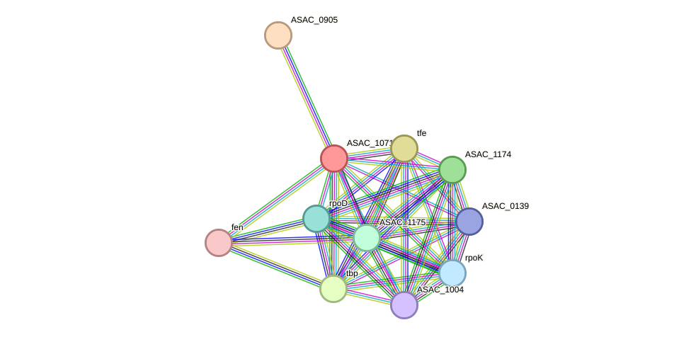 STRING protein interaction network