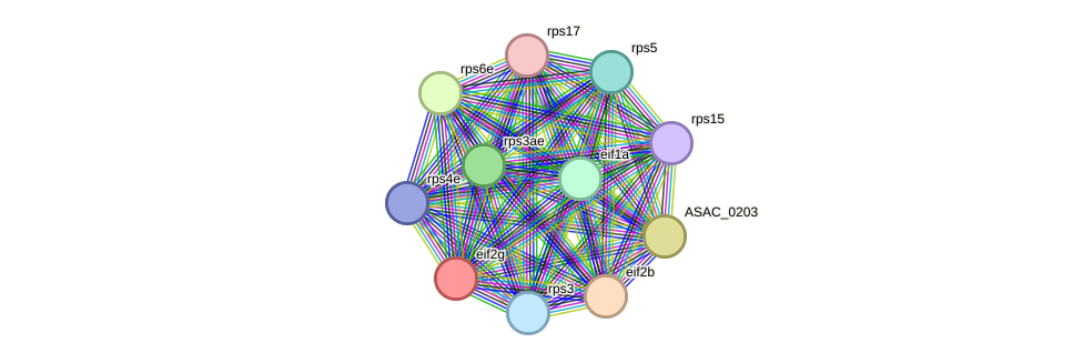 STRING protein interaction network