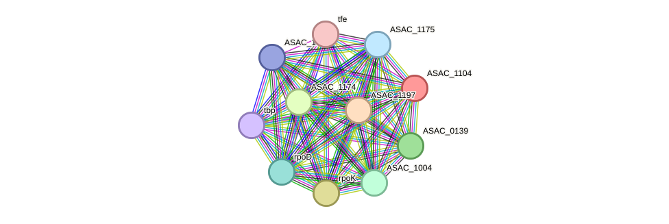 STRING protein interaction network