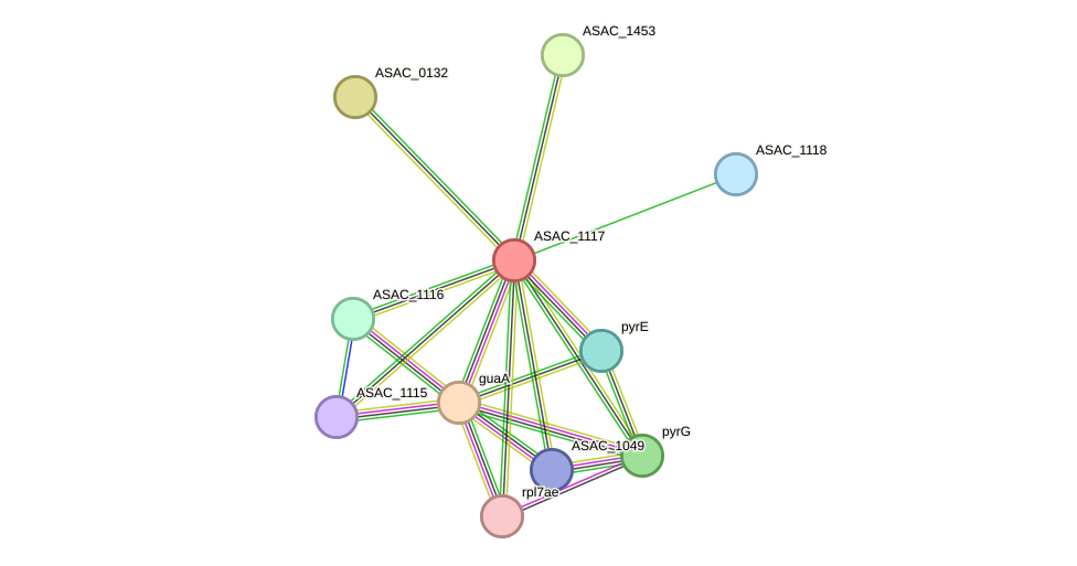 STRING protein interaction network