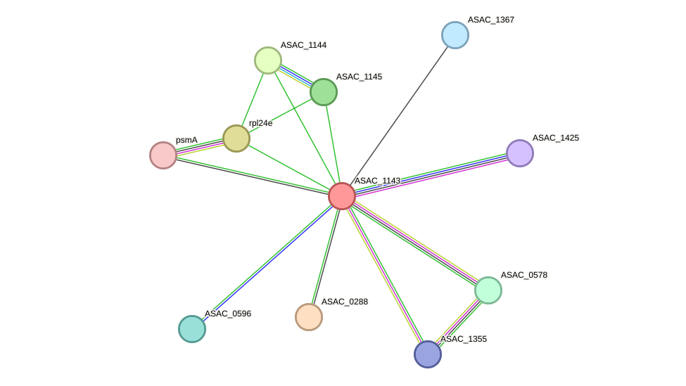 STRING protein interaction network