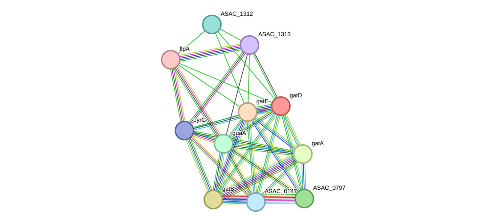 STRING protein interaction network