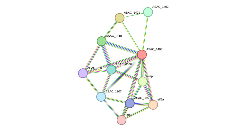 STRING protein interaction network