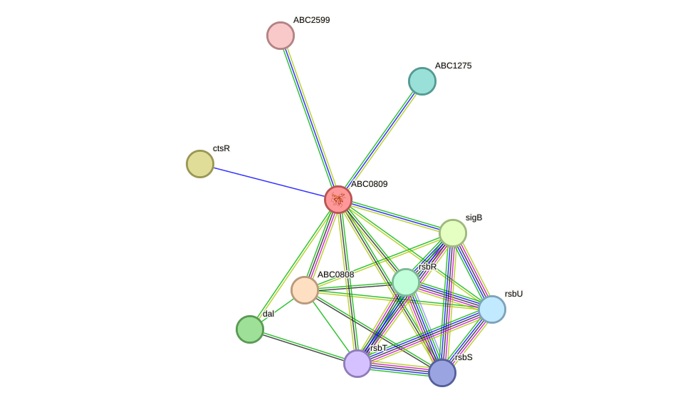 STRING protein interaction network