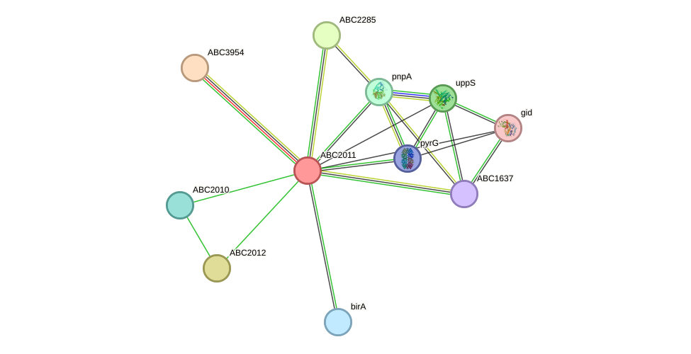 STRING protein interaction network