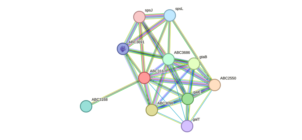 STRING protein interaction network