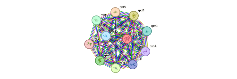 STRING protein interaction network
