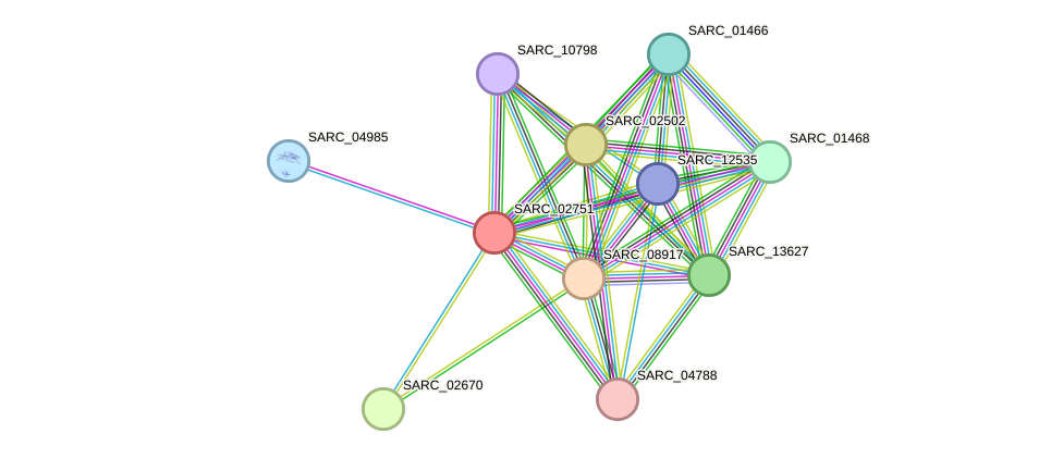 STRING protein interaction network