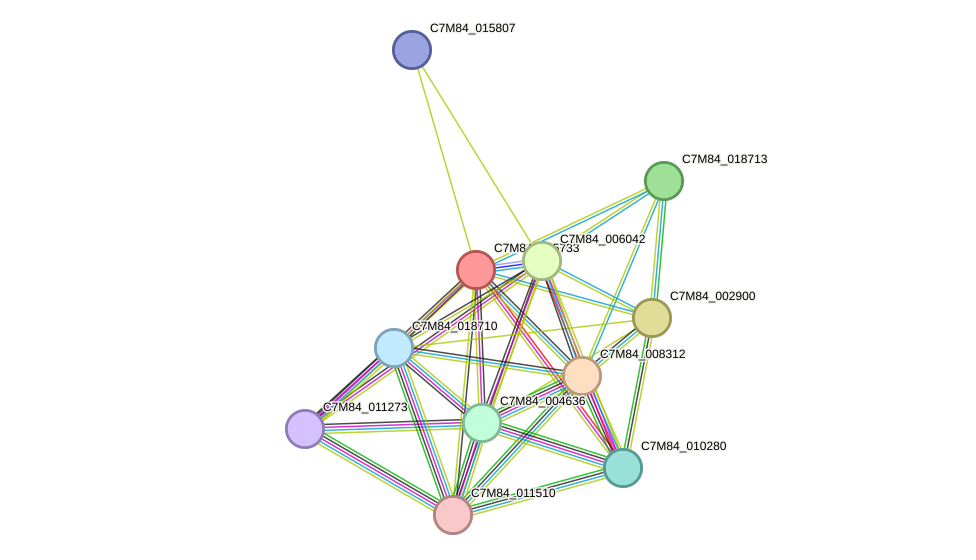 STRING protein interaction network