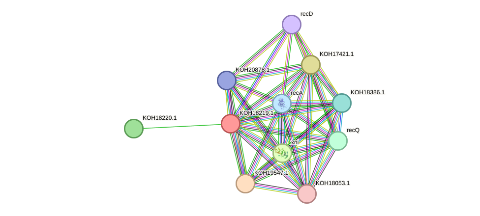 STRING protein interaction network