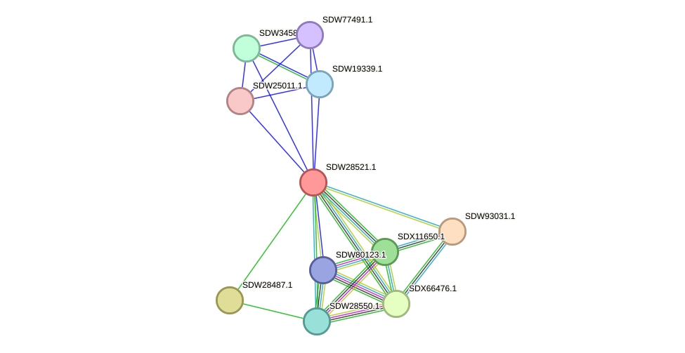 STRING protein interaction network