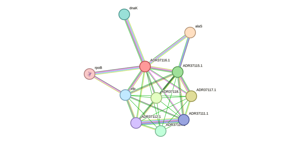 STRING protein interaction network