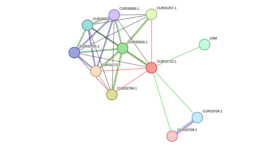 STRING protein interaction network