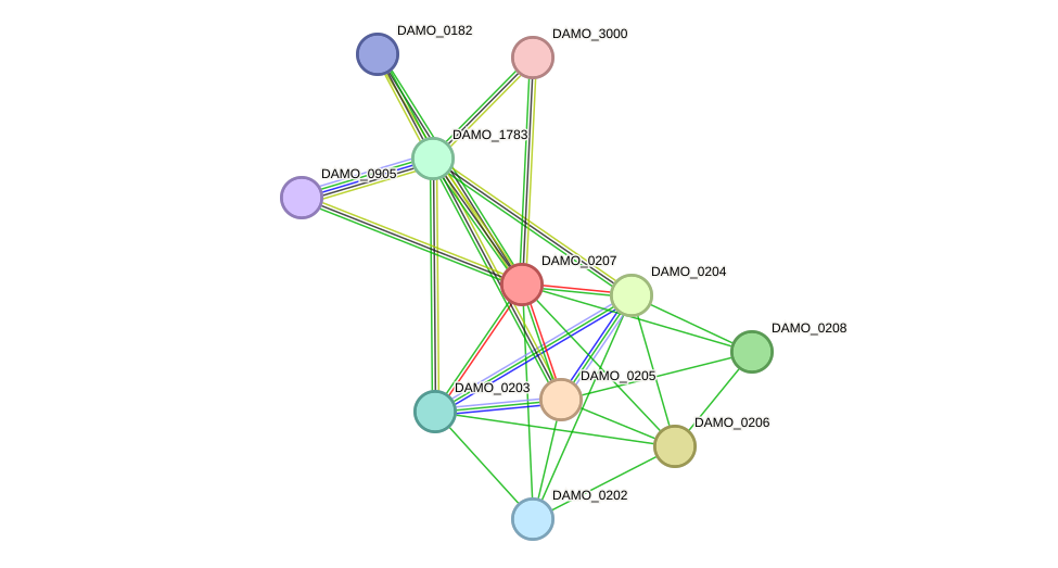 STRING protein interaction network