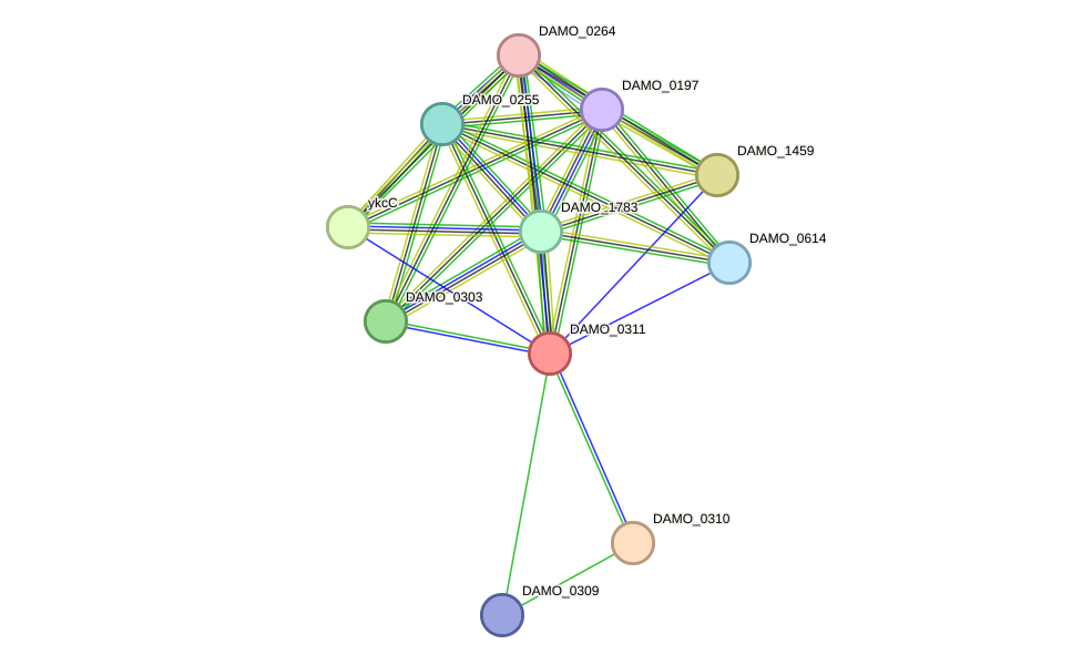 STRING protein interaction network