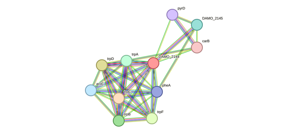 STRING protein interaction network