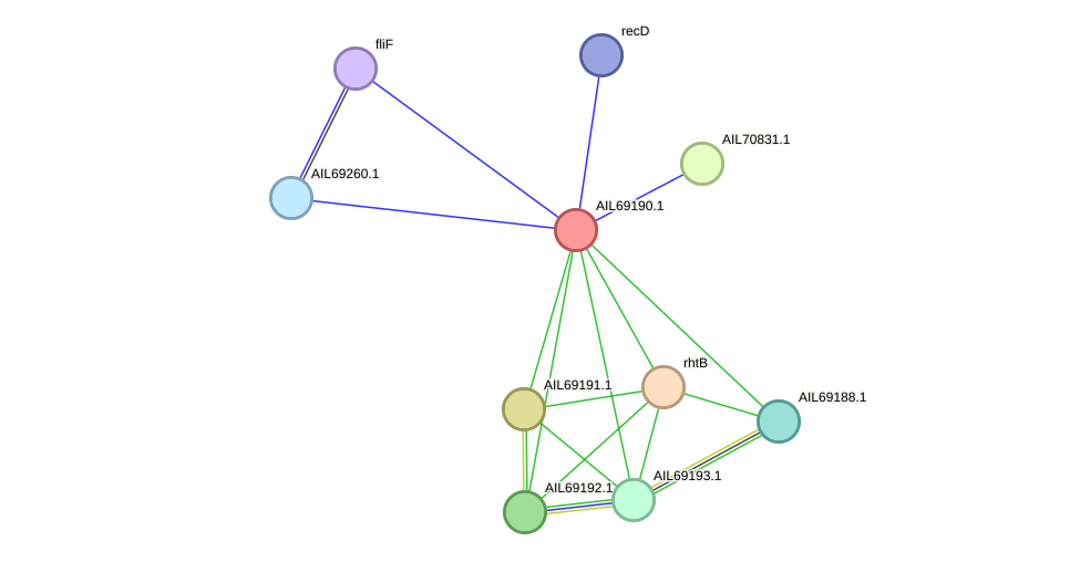 STRING protein interaction network