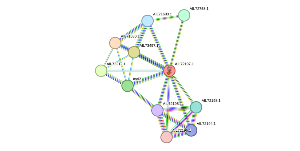 STRING protein interaction network