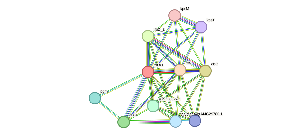 STRING protein interaction network