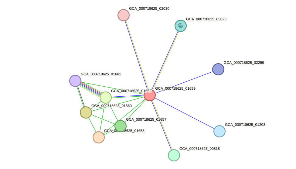 STRING protein interaction network