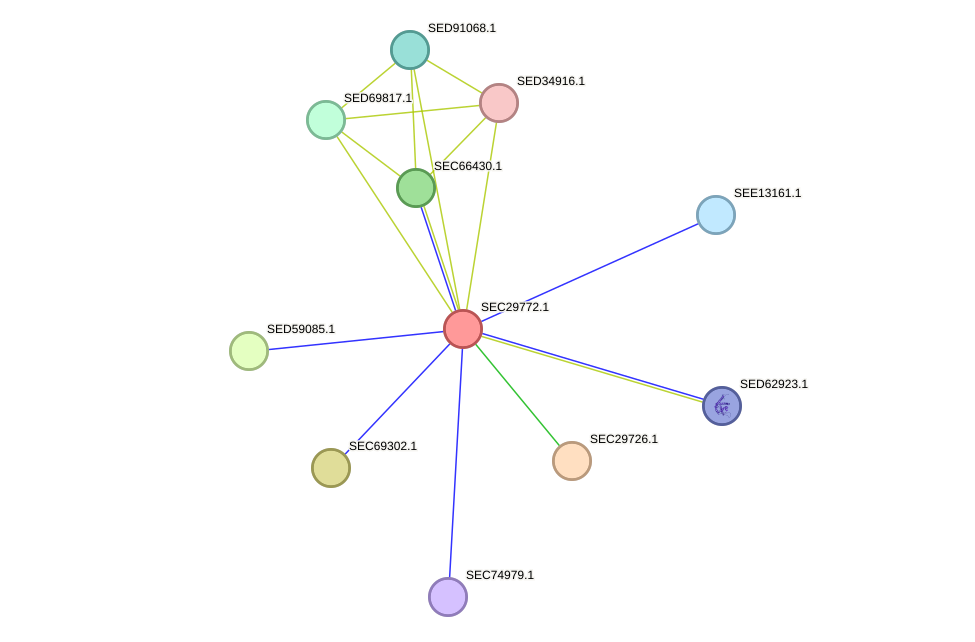 STRING protein interaction network