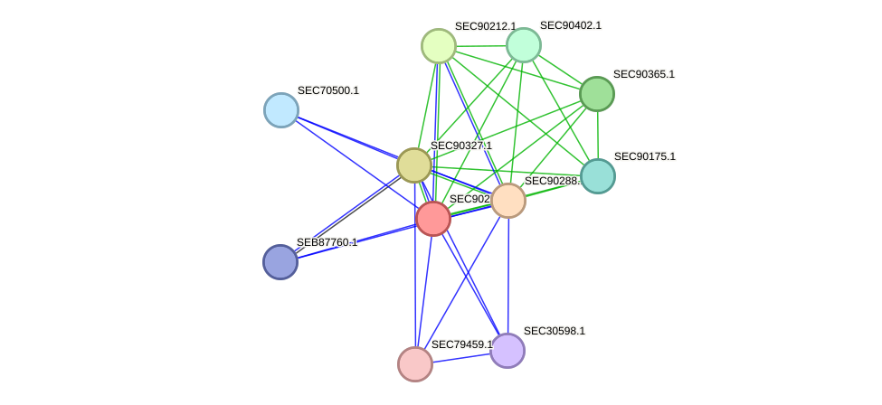 STRING protein interaction network