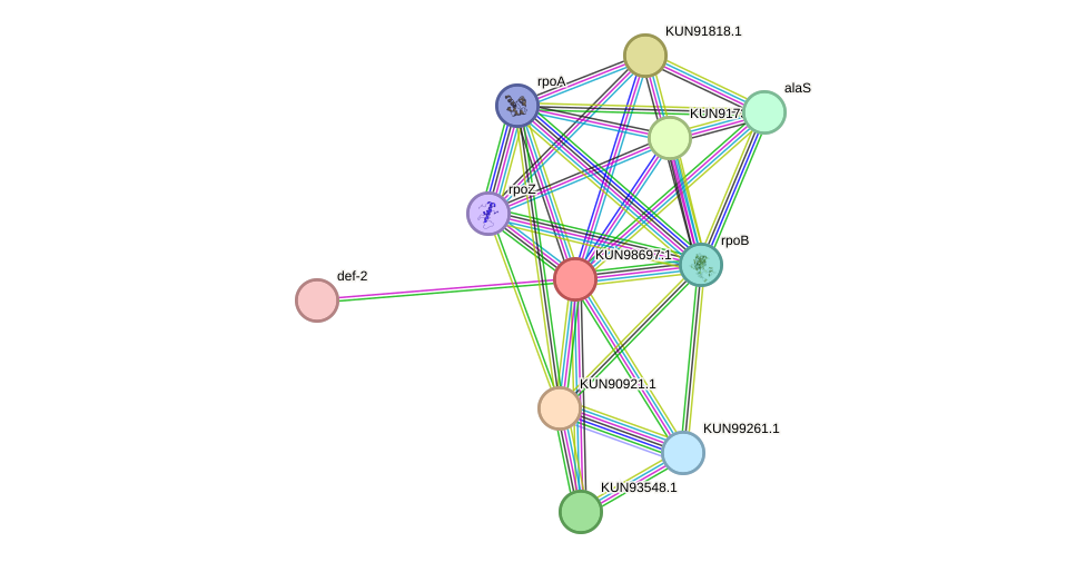 STRING protein interaction network