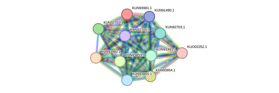 STRING protein interaction network