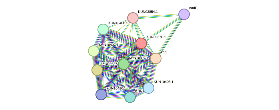 STRING protein interaction network