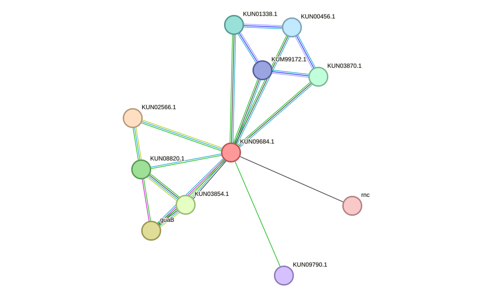 STRING protein interaction network