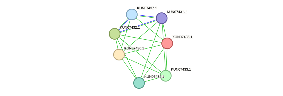 STRING protein interaction network