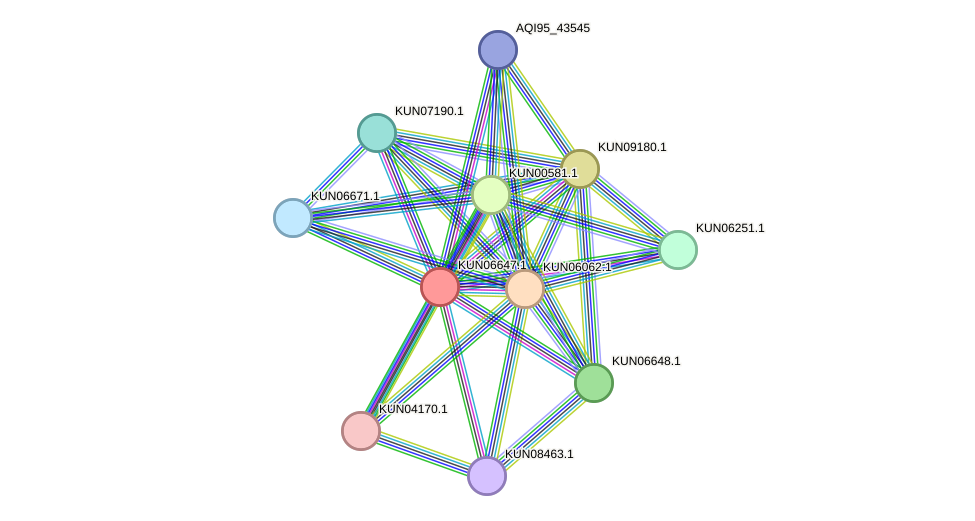 STRING protein interaction network