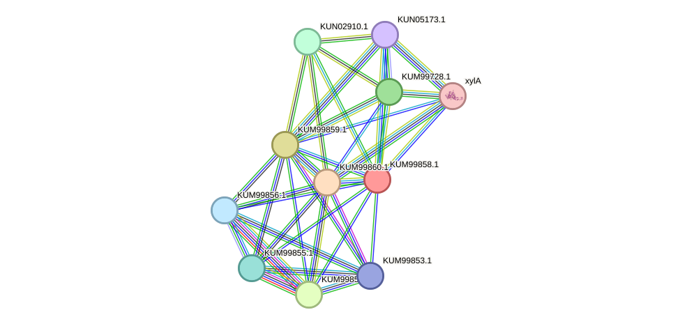 STRING protein interaction network