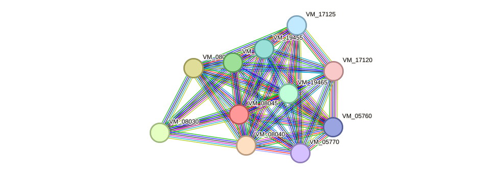 STRING protein interaction network