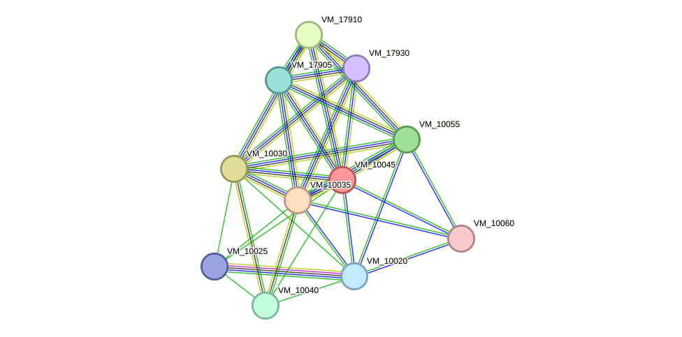 STRING protein interaction network